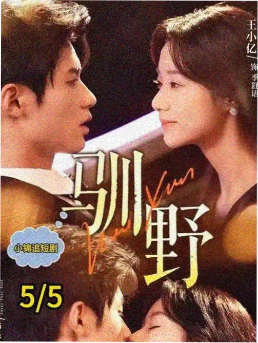城南旧梦 电视剧全集在线观看